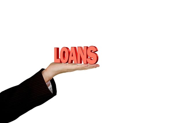 Rules and Regulations on Directors Loan Payments